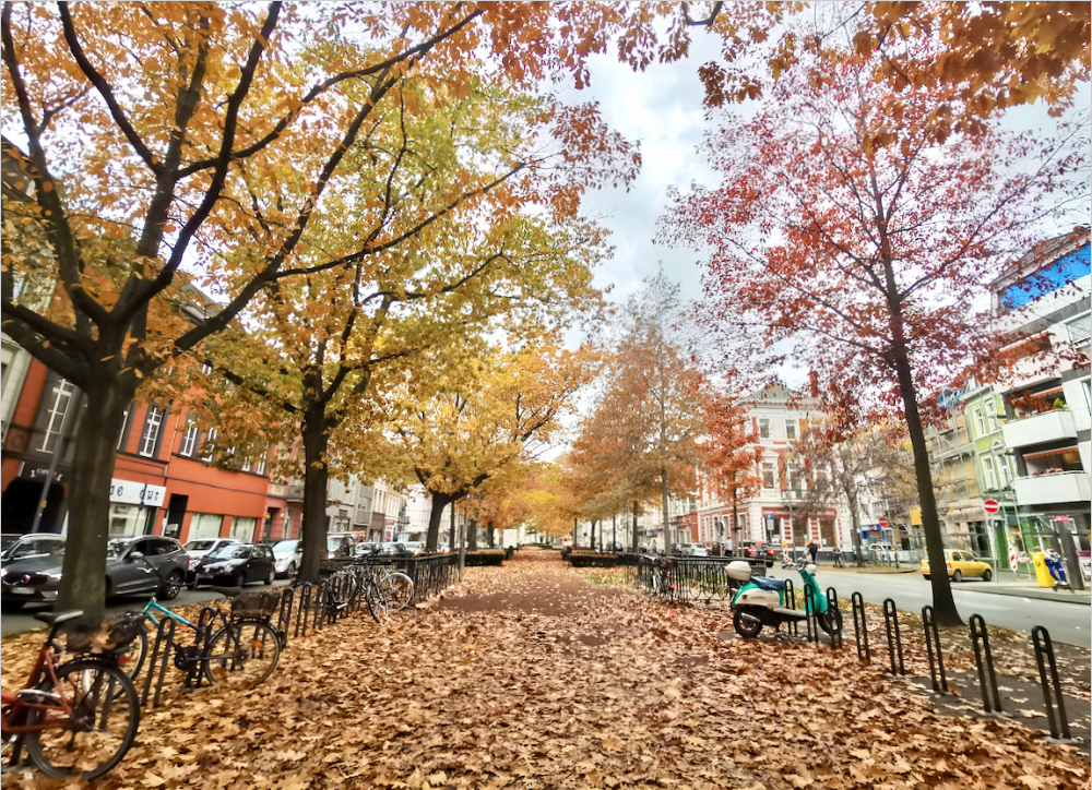 2.5 Zimmer in Krefeld - Foto 3
